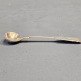 Antique Early Victorian Condiment Spoon by Henry Hanson of London