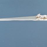 Antique Rare George V Silver Running Fox Bookmark by J.B. Chatterley & Sons of Birmingham 