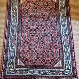 Persian Hamadan Rug