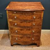 Antique Small proportioned Victorian Burr Walnut Chest with Brushing Slide