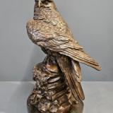 Antique Large Bronze Kestrel at Sturmans Antiques bronze for sale