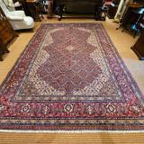 Superb 12' x 9' Persian Pure Wool Rug Carpet at Sturmans Antiques
