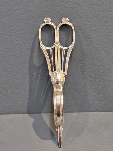 Antique Georgian Silver Candle Snuffers or Wick Trimmers by Thomas & George Hayter of London at Sturmans Antiques silver for sale 