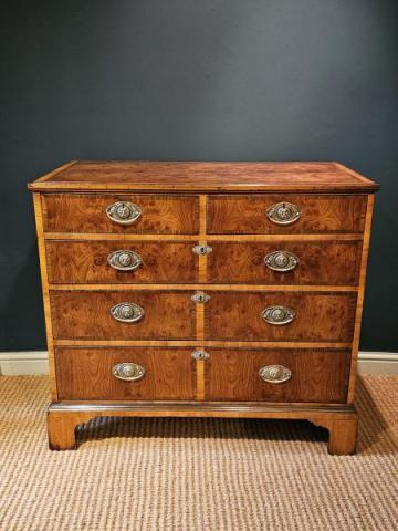 Antique Large Late Georgian Burr Ash Chest of Drawers at Sturmans Antiques furniture for sale