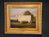 Antique Victorian Oil on Canvas Painting of A Short Horn By A M Gauci at Sturmans Antiques painting for sale